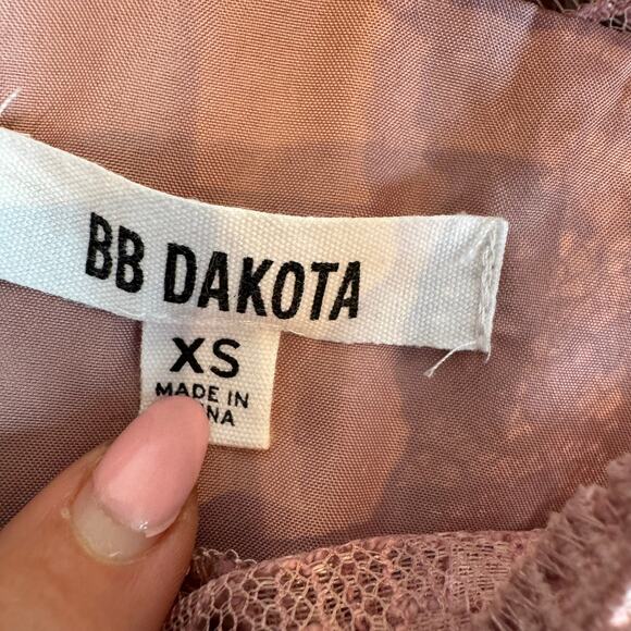 BB Dakota Mock Neck Pink Lace Sheer Romantic Blouse XS - Picture 5 of 7